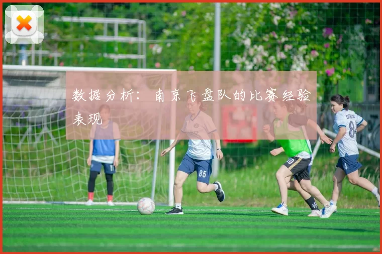 数据分析：南京飞盘队的比赛经验表现