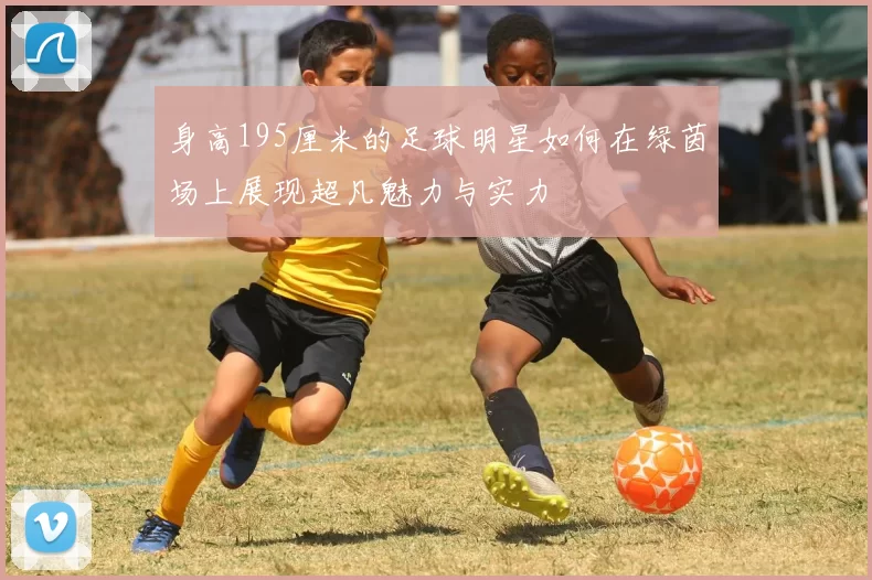 身高195厘米的足球明星如何在绿茵场上展现超凡魅力与实力