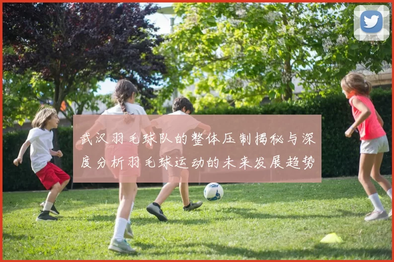 武汉羽毛球队的整体压制揭秘与深度分析羽毛球运动的未来发展趋势