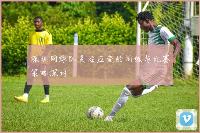 深圳网球队灵活应变的训练与比赛策略探讨